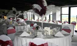 Burgundy Ostrich Feathers